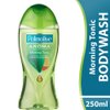 Palmolive Aroma Morning Tonic Shower Gel 250ml