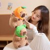 Ditucu Cute Capybara Plush Pillow with Wearable Frog Hat Stuffed Animals Capibara Plushies Toys Gifts for Kids 11 inch