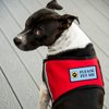 WORKINGSERVICEDOG.COM Please Pet Me - Sew On Patch for Service Dog Vest or Harness