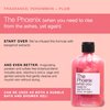 The Phoenix | Citrus | Aloe Vera | Sage | Chamomile | Bergamot | Body Wash