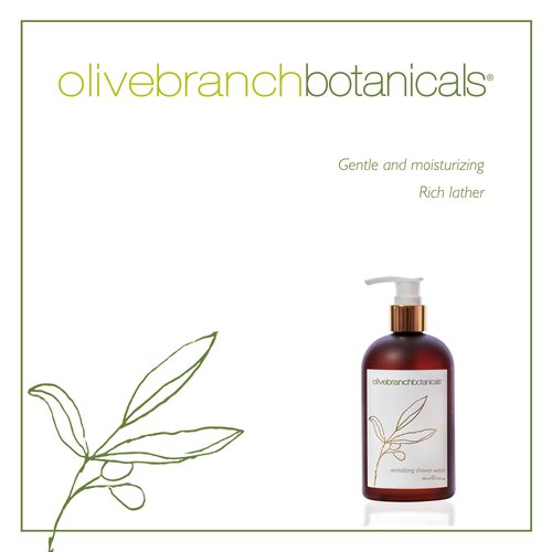 Gilchrist & Soames Olive Branch Shower Gel & Body Wash - 12oz - Gently Cleansing, Zero Parabens, Sulfates, and Phthalates