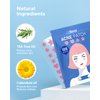 LitBear Acne Patch Pimple Patch, Pink Heart & Star Shaped Absorbing Cover Hydrocolloid Patches For Face Zit, Acne Dots, Tea Tree Oil + Centella (108 Count (Pack of 1))