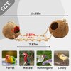 Tfwadmx Natural Coconut Hide with Ladder Perches Hanging Bird House Toy for Cage Parrot Breeding Nest for Gecko Parakeet Lovebird Finch Hamster