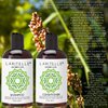 Laritelle Organic Travel Size Shampoo 2 oz + Travel Size Conditioner 2 oz | Organic Quinoa + Keratin + Follicle Stimulating Rosemary, Ginger & Grapefruit | NO GMO. Vegan