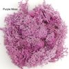 9 OZ Preserved Moss, Natural Live Moss, Fake Moss for Potted Plants, Spanish Moss for Terrariums Gardening Art, Vase Fillers, Craft Floral Wall, Wedding Decor (Green, Purple, Pink)