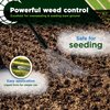Syngenta Tenacity Herbicide - Pre-Emergent and Post-Emergent Weed Control, 8-oz. Liquid Weed Killer for Lawns and Turf Grasses, Active Ingredient Mesotrione Herbicide