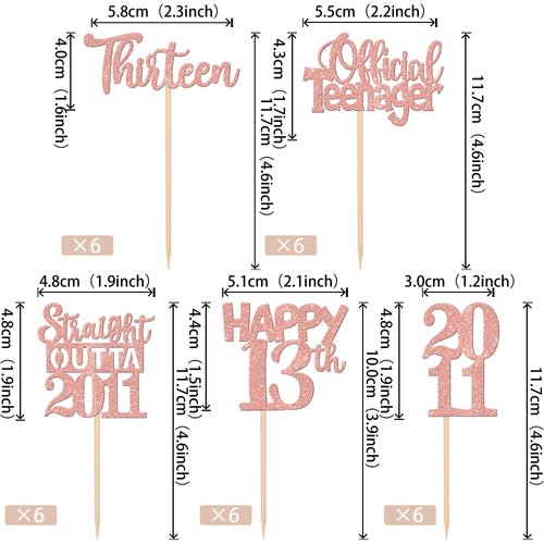 30PCS 13th Birthday Cupcake Toppers Glitter Thirteen Happy 13th Straight Outta 2011 Cupcake Picks for Cheers to 13 Years 13th Birthday Anniversary Party Decorations Supplies Rose Gold