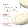 Juara - Candlenut Bar Soap | Lather on Hands, Body | Safely Cleanses | Gently Softens | Deeply Moisturizes | Pure Ingredients | Cruelty Free, Paraben & Sulfate Free | 4.2 oz (1 Single Bar)