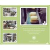 Olivia Care Lavender Bar Soap-4 pack box set - 100% Natural Ingredients, Organic, Vegan - For Face & Body, Cold-pressed Triple-Milled, Hydrating, Moisturizing, Infused Calcium & Vitamins - 4 X 5 oz