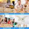 Poraxy 4 Pack Dinosaur Toys for Kids 8-12, STEM Kits, Boys Toys Age 8-10, 3D Wooden Puzzle Robotic Model, Educational Science Building Projects Crafts, Gifts for Boys Girls 8 9 10 11 12 13 Years Old