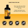 Pet Honesty Dog Allergy Relief Salmon Oil Anti-Itch for Dogs, Itch Relief & Omega-3 for Dogs, Dog Skin and Coat Supplement, May Reduce Normal Shedding & Itching, Joint, Brain & Heart Health (16 oz)