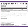 New Chapter Fermented Vitamin c, 30 Count