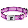 Dog Collar Seatbelt Buckle Anchor Stripe Pinks Purple 16 to 23 Inches 1.5 Inch Wide