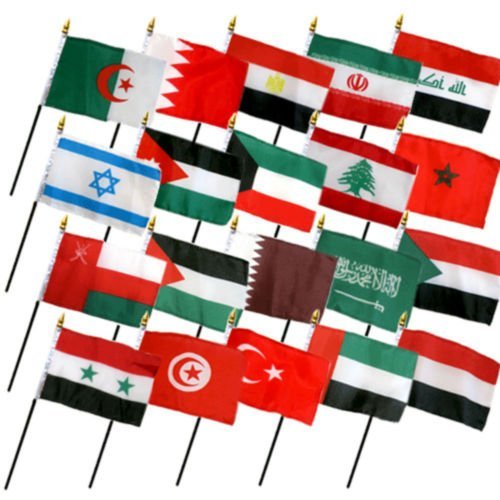 Moon Knives Set of 20 Middle East Eastern Countries 4''x6'' Desk Table Stick Flag (No Bases) - Party Decorations Supplies For Parades - Prime Outside, Garden, Men Cave Decor Flag