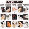 Farm Animal Toy Figure Set, 15Pcs Plastic Kid Farm Animal Toy Playset Cow Horse Goat Sheep Pig Donkey Goose Duck Turkey Chicken Dog Cat Rabbit for Toddler 3-5 5-7