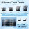 Lash Clusters 96 Pcs Cluster Lashes Eyelash Clusters DIY Cluster Eyelash Extensions Individual Lashes Soft and Comfortable (Sandstorm,D-10-16mix)