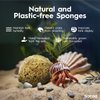 Naroa Natural Hermit Crab Sponges - Pack of 5 | Unbleached Sea Sponge for Water Drinking Safety | Aquarium Decor Balance Tank Humidity | Crab Supplies Accessories