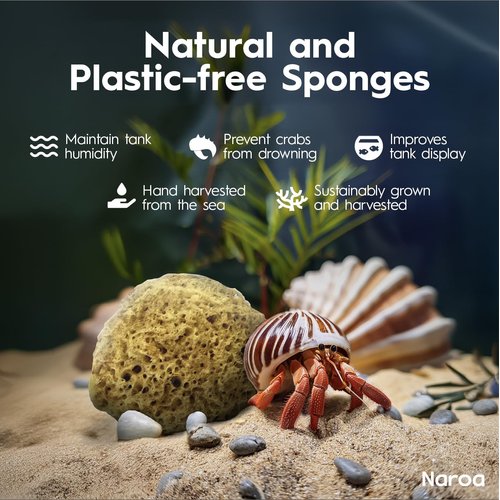 Naroa Natural Hermit Crab Sponges - Pack of 5 | Unbleached Sea Sponge for Water Drinking Safety | Aquarium Decor Balance Tank Humidity | Crab Supplies Accessories