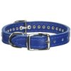 OmniPet Signature Leather Crystal and Leather Dog Collar, 12", Blue