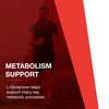 Protocol L-Glutamine 1,000mg - Supports Gut Health & Immunity* - Amino Acid Supplement - Capsules for Gastrointestinal Integrity* - Made without Gluten, Dairy-Free, Kosher - 120 Veg Caps