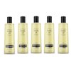 Lightweight Body Oil for Dry Skin, Sheer Moisturizer in Light Sesame Formula, 5 Bottles