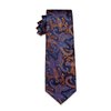 YourTies Orange and Blue Paisley Ties for Men Jacquard Woven Silk Necktie 3.15'' Formal Business Neckties