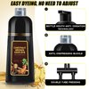 Hair Dye Shampoo 3 in 1, Herbal Shampoo Hair Dye for Women Men, Grey Coverage Shampoo 16.9fl oz (Chestnut Brown)