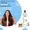 Rey Naturals Cold Pressed Coconut oil for hair and skin - 100% Pure & Natural Hair Oil (400ml) - (200ml x 2)