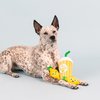 Fringe Studio Plush Dog Toy Set, Pucker Up, 3 Piece Set, Pet Shop Collection (312504)