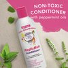 Fairy LiceMothers MagicHalo Conditioner, Anti-Lice Conditioner with Essential Oil, Formulated for Head Lice Prevention, No Sulfate or Pesticides, 8 fl oz