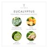 Thymes Eucalyptus Body Scrub - Body Exfoliator for Skin Care Routine - Moisturizing and Exfoliating Body Scrub, Face Scrub, Foot Scrub, or Hand Scrub (7 Fl Oz)
