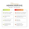 Parallel Products Spot Color Henna Kit - Henna Hair Dye - 3 grams - Tint for Professional Spot Coloring - With Mixing Dish - Covers Grey Hair - Root Touch Up (Deep Dark Brown)