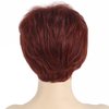 SYXLCYGG Short Wig Old Lady Wigs Auburn Wig Ladies Wavy Synthetic Older Womens Hair Wigs Fluffy Full But Very Thin Only 2.7 OZ Free Wig Cap