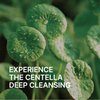 PROOT Centella Cleansing Oil | Centella Oil Cleanser | Korean Centella Cleansing Oil For Face | Centella Oil Cleanser for Face with High Concentrate of Centella Extract | Centella Cleanser For Sebum