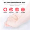 Bee & Flower Herbal Foaming Hand Soap with Pump Dispenser All Natural Foam Hand Cleaner Gentle & Moisturizing Foam Hand Wash - 14.5 Fl Oz - Pack of 1