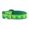 Up Country Shamrock Pattern Dog Collars and Leashes (Shamrock Dog Collar, Medium (12 to 18 Inches) 5/8 Inch Narrow Width)