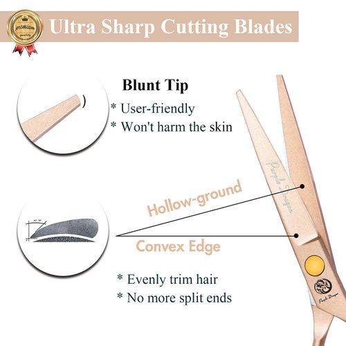 5.5 inch Hair Cutting Scissors Set with Razor, Leather Scissors Case, Barber Hair Cutting Shears Hair Thinning/Texturizing Shears for Professional Hairdresser or Home Use (Rose Gold)