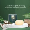 Adirondack Mountain Air Natural Shampoo Bar For Normal & Oily Hair, Essential Oils, Sulfate-Free Plant-Based Vegan & Eco Friendly Solid Hair Cleanser, 2.5 Oz, 70 grams