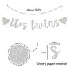 Glitter Silver It's Twins Banner - Baby Shower - Oh Babies First Birthday Banner - Baby Birthday Party Decorations