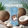 Secret Fresh Antiperspirant Deodorant for Women, 72hr Breathable Sweat & Odor Protection, Instant Freshness & Gentle, PH Balancing Minerals, Clear Gel, Nurturing Coconut Scent, 2.6 oz (Pack of 2)