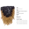 Loxxy Kinky Curly Clip In Hair 4B 4C Natural Hair Clip Ins Afro Kinky Curly Clip In Hair Extensions Virgin Clip In Hair Extensions Human Hair For Black Women Big Volume Thick Kinky Hair # 1b/27 16Inch