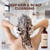 damila Deep Cleansing Shampoo - Clarifying Shampoo For All Hair Types - Degreases, Removes Residue and Product Build Up - Prepares Hair for Keratin Hair Treatment - 16.9 Fl. Oz