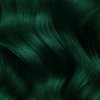 Lunar Tides Semi-Permanent Hair Color (43 colors) (Juniper Green, 8 fl. oz.)