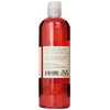 Stonewall Kitchen Grapefruit Thyme Dish Soap, 17.6 oz