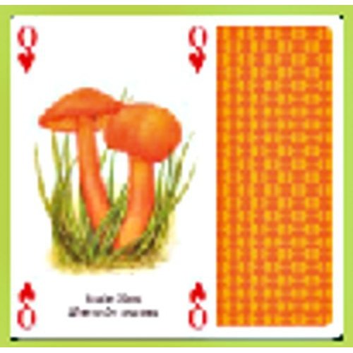 The Famous Mushrooms Playing Cards