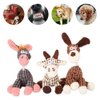 NARFIRE Puppy Teething Plush Toys Durable Squeak Cotton Chew Squeak Toys for Dogs
