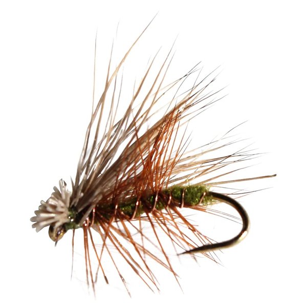 Flies Direct Elk Hare Caddis Olive Assortment Trout Fishing Flies (1-Dozen),Rose Gold