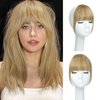 DinkyTims Clip in Bangs 100% Real Human Hair Bangs Hair Clip Thick Ash Blonde Fake Bangs,Clip on Bangs for Women Faux Bangs Clip in Hairpieces with Hair Roller(Thick Bangs, Ash Blonde)