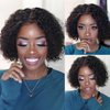 Tinashe Short Curly Pixie Cut Bob Wigs Human Hair Glueless Short Curly Bob Wig Pre Plucked 13X4 Lace Front Wigs Human Hair Pixie Cut Lace Front Wigs For Black Women (10inch, Pixie Cut Bob Wig)