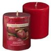 Set of 2 Luminessence Apple Cinnamon Scented Pillar Candles by Luminessence